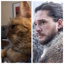 The Texas-born country singer says he refuses to comply with a Trump demand.