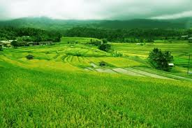 Video background yang digabungkan dari beberapa video dan dikombinasikan dengan instrumen audio yang telah disesuaikan dengan tema ataupun karakteristik. Photo Pemandangan Alam Desa Terbagus Pemandangan Alam Pedesaan