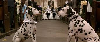 American video game designer roger dearly (jeff daniels) lives with his pet dalmatian, pongo, in london. 101 Dalmations 101 Dalmatians Dalmatian 101 Dalmatians Movie