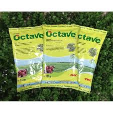 Kalau membuka kbbi, arti kata protektif adalah 'bersifat melindungi'. Fungisida Octave 50wp Fmc Shopee Indonesia