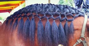 You'll still have additional options that you can unlock in the game through various means. Fantasy Braiding And Hairstyles Startseite Facebook