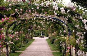 Roseraie Du Val De Marne Arche De Roses Paris C Chantal Pourrat Roseraie Jardins