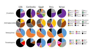 This video is now available to watch. Ijms Free Full Text Tracking Antimicrobial Resistance Determinants In Diarrheal Pathogens A Cross Institutional Pilot Study Html