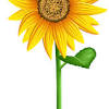 A quirky murder mystery based in a housing society called sunflower. 1