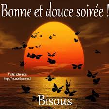 Bonne Soiree Image Bonne Soiree Bonne Soiree Gif Bonne Soiree