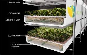 Indoor hydroponic wall garden 12. Indoor Hydroponic Systems The Perfect Idea For A Home Garden