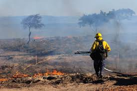 Check spelling or type a new query. Fires 2020 Experts Explain The Global Wildfire Crisis