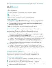 By the way, about chapter 11.4 meiosis worksheet answers, we have collected particular related photos to complete your references. 11 4 Ws Answers Doc Answers 11 4 Meiosis Chromosome Number For Questions 18 Write True If The Statement Is True If The Statement Is False Change The Course Hero