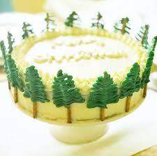 Das gesiebte mehl mit puddingpulver, speisestärke und backpulver mischen. Weisser Vanille Kuchen Kindergeburtstag Planen De
