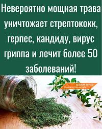 Sovety V 2020 G Zhurnal O Zdorove Sovety Produkty Dlya Zdorovya