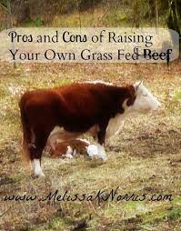 Pros And Cons Of Raising Your Own Grass Fed Beef