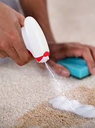 How To Clean An Area Rug Cleaning Area Rugs Rug Cleaning Area Rugs