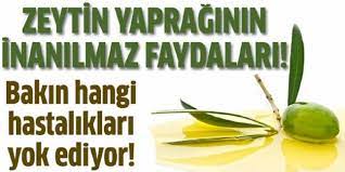 Zeytin Yapraginin Faydalari Zeytin Yapragi Cayi Fruit Food Food And Drink