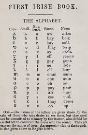 Pin By Deirdre Burton On Gaelic In 2020 Irish Words Gaelic Words Scots Irish