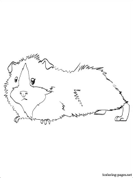 The coloring pages will not make the children boring. Guinea Pig Coloring Pages Kidsuki