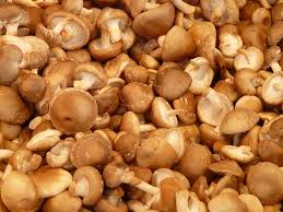 They can fight cancer and immune diseases. Shiitake 1080p 2k 4k 5k Hd Wallpapers Free Download Wallpaper Flare