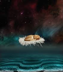 You were dreaming about cat giving birth to kittens, right? Interpreting The Meaning Of Dreams About Cats And Cats As Dream Symbols Exemplore Paranormal
