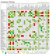 Infinite Tao Homestead And Hermitage Companion Planting Chart