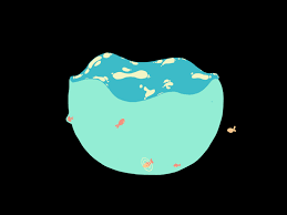 Goldfish Bowl Animation Art Art Animation