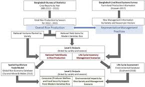 Rice Intensification In Bangladesh Improves Economic And