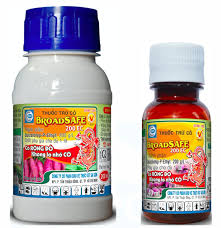 Broadsafe 200EC