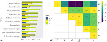 Image result for Physostigma mesoponticum