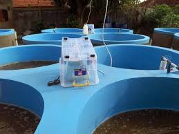 Bioflog Kolam Lele