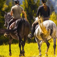 Federazione Italiana Sport Equestri Cr Friuli Venezia Giulia Corso Guida Di Equitazione Di Campagna