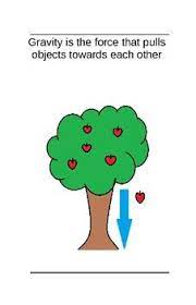 What is gravity in science. Introduction To Gravity Gravity Book 1st Grade Science Gravity