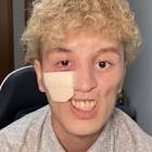 もりひ