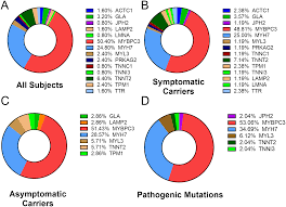 In biological evolution, mutation refers to a change in the sequence of bases or base pairs on a nucleic acid strand. Hypertrophic Cardiomyopathy Clinical Phenotype Is Independent Of Gene Mutation And Mutation Dosage