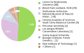 Image result for Allophylus congolanus