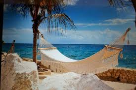 Get free shipping on cacoon! You Ll Want To Relax In These 10 Heavenly Hotel Hammocks