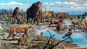 Tapi, kalau ngga diatur juga kebayang kan betapa berantakannya kehidupan ini? Menyelusuri Masa Kehidupan Nabi Adam Berdasarkan Genetika Arkeologi Astronomi Dan Geologi Kanzunqalam S Blog