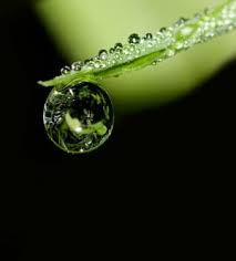 Air mancur filter cantik penyerap zat polutan foto : 76 Gambar Air Hidup Kekinian Gambar Pixabay