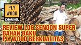 We did not find results for: Pt Nagabhuana Aneka Piranti Youtube