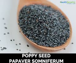 Black seed oil, kuala lumpur, malaysia. Poppy Seed Facts And Health Benefits