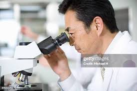 130 31408 Stock Photos, High-Res Pictures, and Images