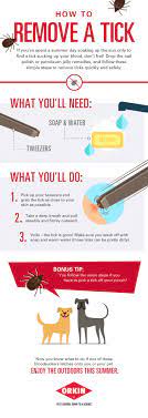 How To Remove A Tick Diy Pest Control Ticks Tick Removal
