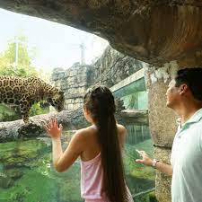 Jacksonville Zoo And Gardens This September Kids Get In Free With Each Full Paid General Admission Adult Ticket Up To 5 Children Ages 3 12 Get A Free General Admission Ticket Every Day