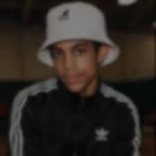 drprincerodgersnelson💜🕊️🪷✨ #prnlegacy