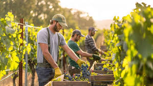 Ashley Ortiz - Sizzling Moments Revealed Today