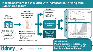 Plasma Cadmium Is Associated With Increased Risk Of Long Term Kidney Graft Failure Kidney International