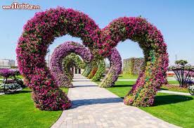 La soluzione per la definizione alberi dai fiori profumatissimi è stata trovata nel nostro motore di ricerca. Dubai Miracle Garden Il Piu Grande Giardino Di Fiori Del Mondo Nel Deserto Degli Emirati Arabi Uniti 18 Foto Immagini Di Viaggio Dubai