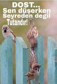 Hedef 2023 Adli Kullanicinin Guzel Sozler Panosundaki Pin 2020 Dualar Guzel Soz Ozlu Sozler