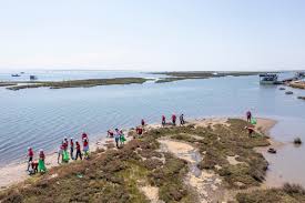 Εθελοντική δράση καθαρισμού της παραλίας στον Δέλτα Αξιό την Τρίτη