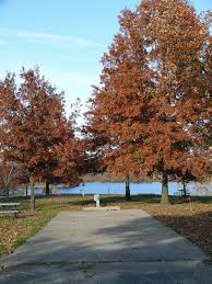 Lake sugema campground in keosauqua is rated 8.0 of 10 at campground reviews. Lake Sugema 18 Lake Sugema Park Van Buren County Iowa Mycountyparks Com