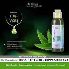Obat Alami Rambut Rontok Ketombe Dan Kering Begitu Dianjurkan Untuk Anda Yang Mengalami Rusaknya Rambut Karena Ketombe Dan R Rambut Rontok Aloe Vera Obat Alami