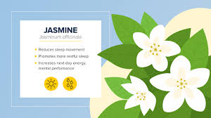 The 7 best plants to have in your bedroom to help you sleep better. 15 Soothing Bedroom Plants To Help You Sleep Bedpillows Com