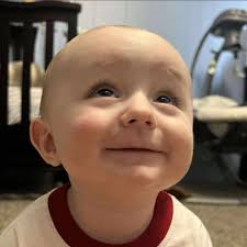 Are there affordable options for linked 4 or 5 spot ANL fuse holders?